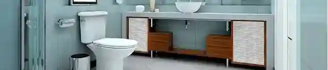 Modern dual flush toilets and bathroom commodes