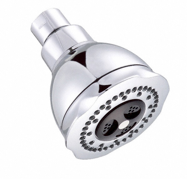 3-Inch Multi-Function Showerhead In Polished Chrome