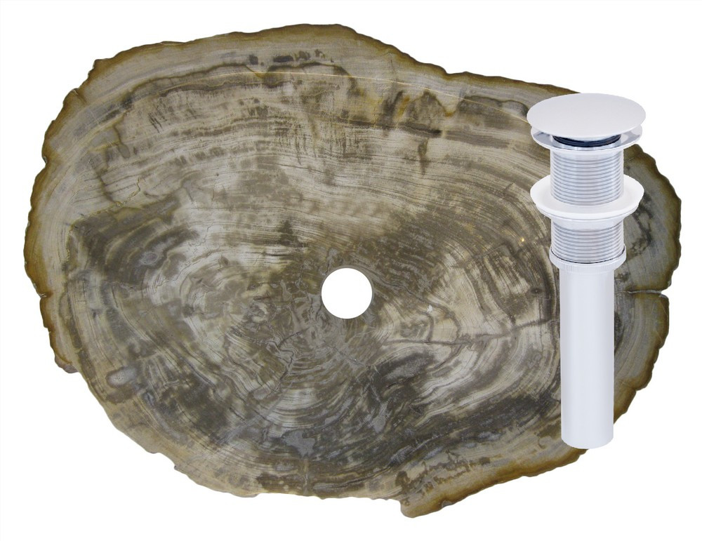 Novatto NOSV-FWCH Fossil Wood Vessel Sink With Chrome Umbrella Drain
