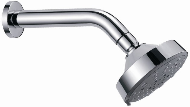 Dawn SH0160101 Multifunction Showerhead with arm and flange in Chrome