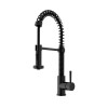 VIGO VG02001MB Matte Black Finished Kitchen Faucet with Pull-Down Spray