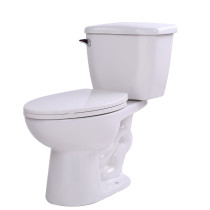 ANZZI T1-AZ055 Kame 2 Piece Single Flush Elongated Toilet In White