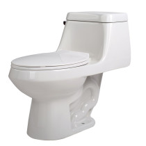 ANZZI T1-AZ058 Zeus 1 Piece 1.28 GPF Single Flush Bathroom Toilet In White