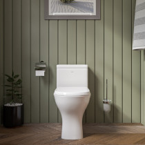 EAGO TB353 One Piece Dual High Efficiency Low Flush Eco-Friendly Toilet