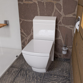 EAGO TB336 Modern One Piece High Efficiency Low Flush Eco Friendly Toilet