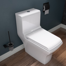 EAGO TB356 White Dual Flush  High Efficiency Low Flush Eco-Friendly Toilet